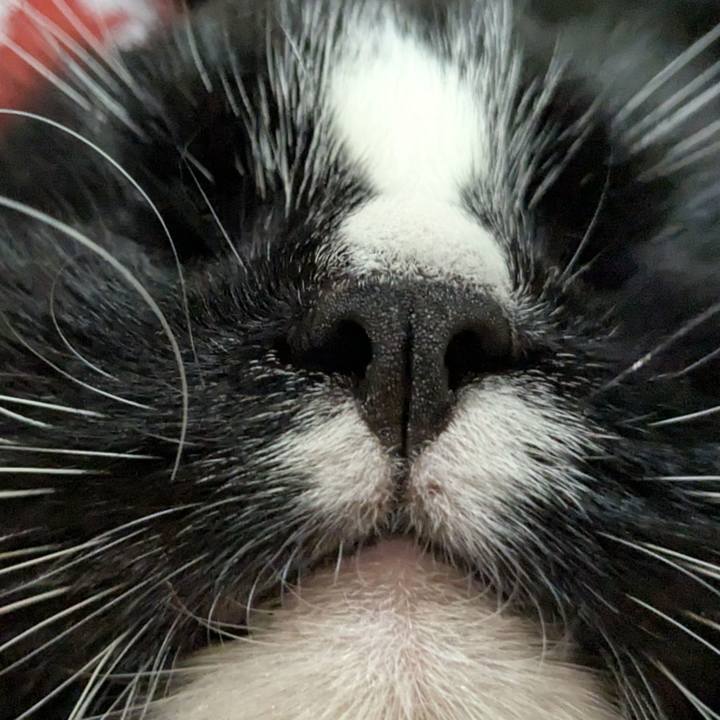 D19164c4 ccfd 4fae af1c 81178cc90f02 1757759854474