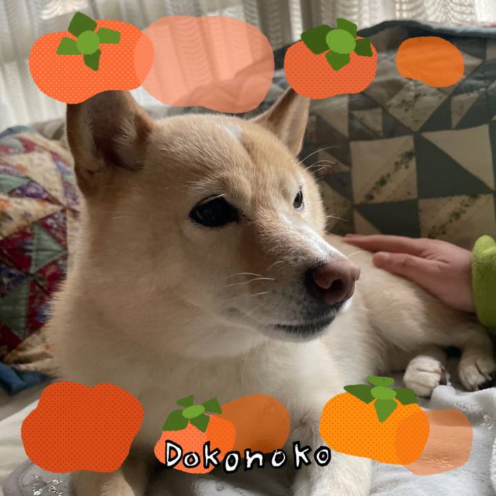 D191b67c 4f31 4615 b0eb f9356347e254 1762410676801