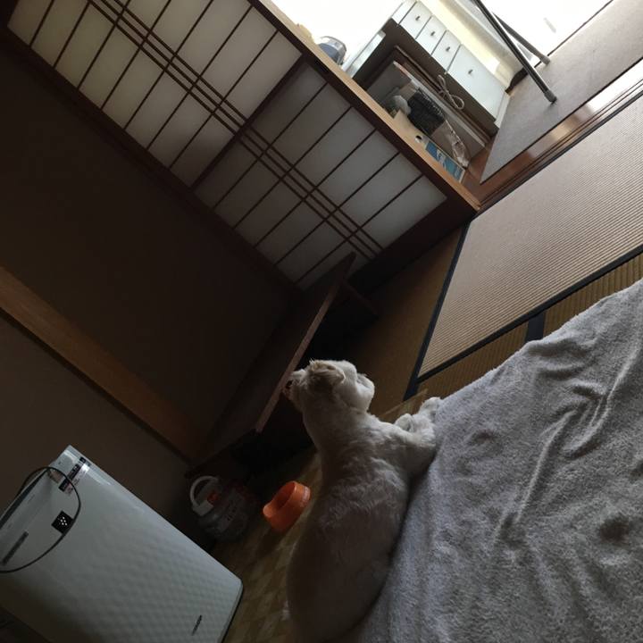 D191b8c3 6987 4431 a236 b341eb864b95 1560758759133