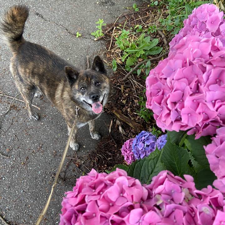 D191baad dadb 4922 8eaf a8184064f53e 1593167496656