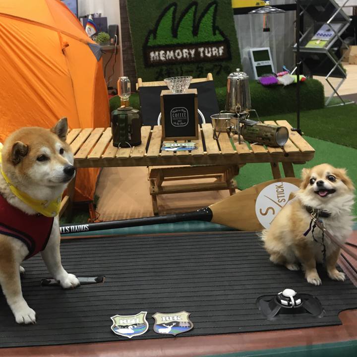 D191c66c 4606 4821 9f1a bea79bbdfa6e 1617543766074