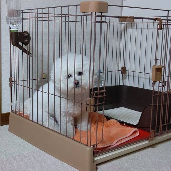 D191dc6d 071f 4a01 959c 8105574e7357 1646034366404