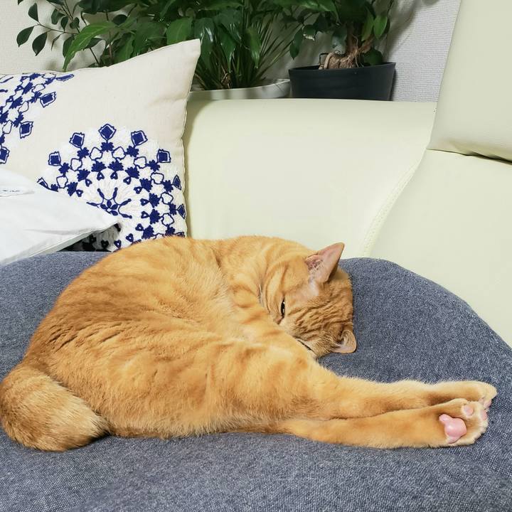 D1925e2b c8d5 40cd b0c5 28c894a0211b 1718350546785