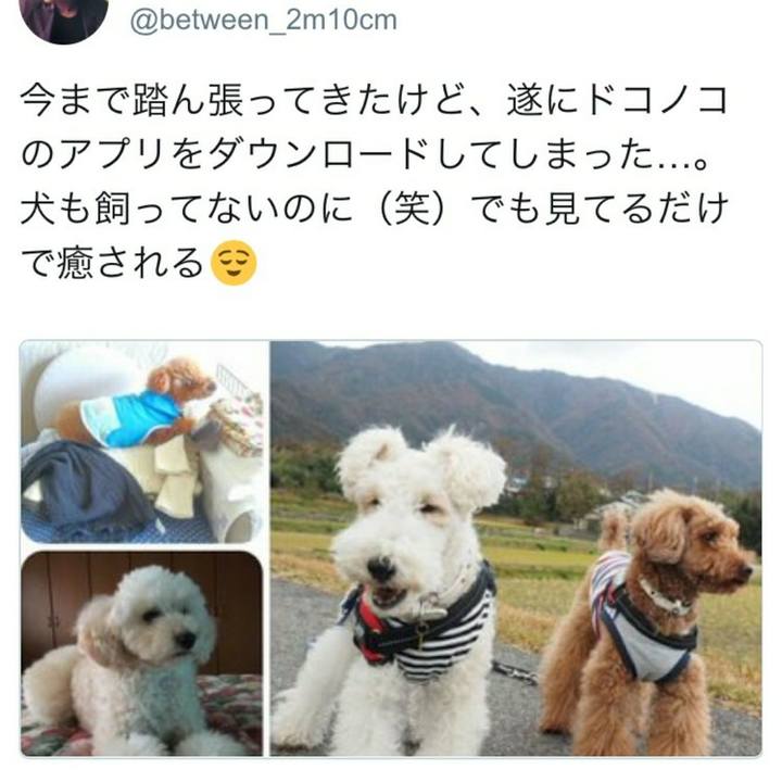 D1936282 2a3f 4320 843c 102298ee98a0 1511306426571