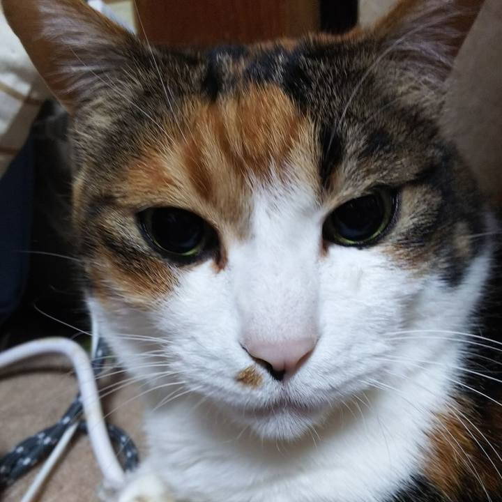 D193757b 9f8d 42dd 81c8 24cd4a8e2d26 1555969657831