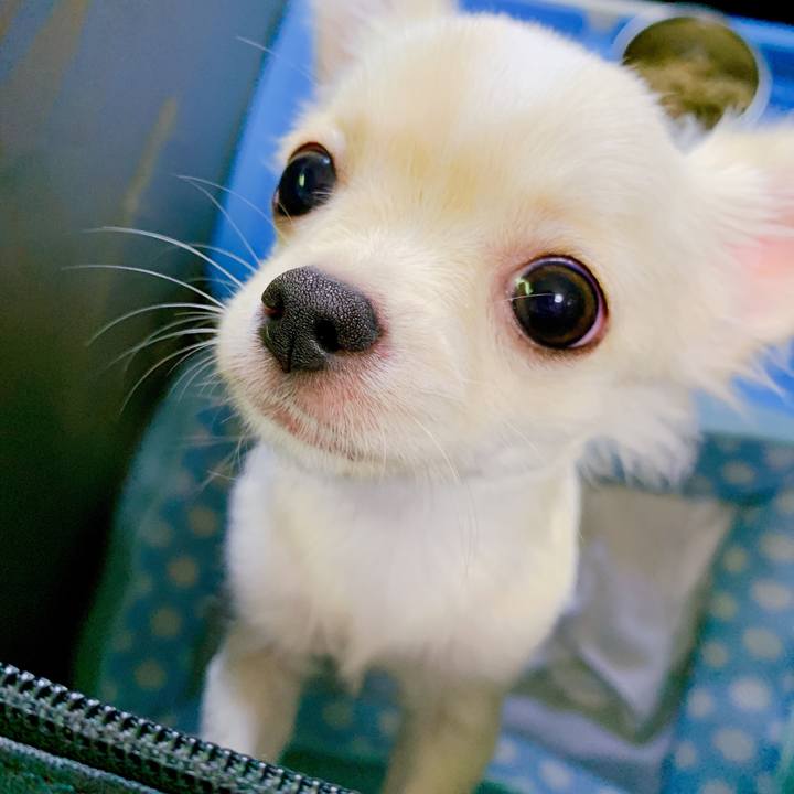 D19378fd 5ff2 4b57 a54b 6b93e344cebb 1567232870429