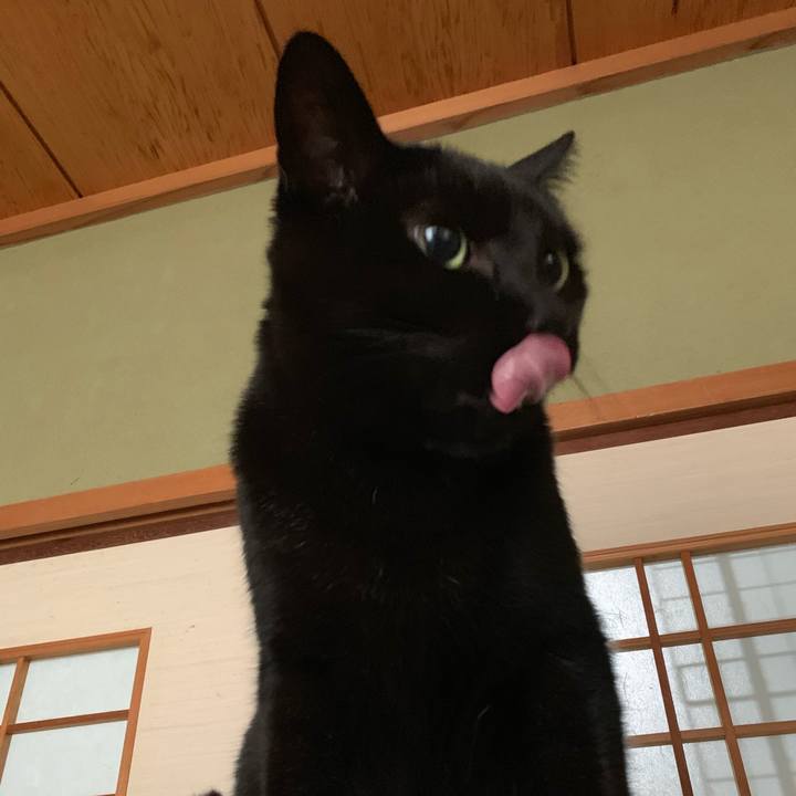 D1937ae4 3084 4730 a385 dfe20486e150 1548897786349