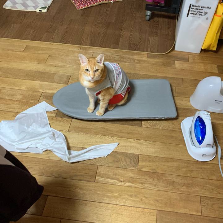 D19388d1 a0de 4bd4 869c 01cc84d83249 1611027499212