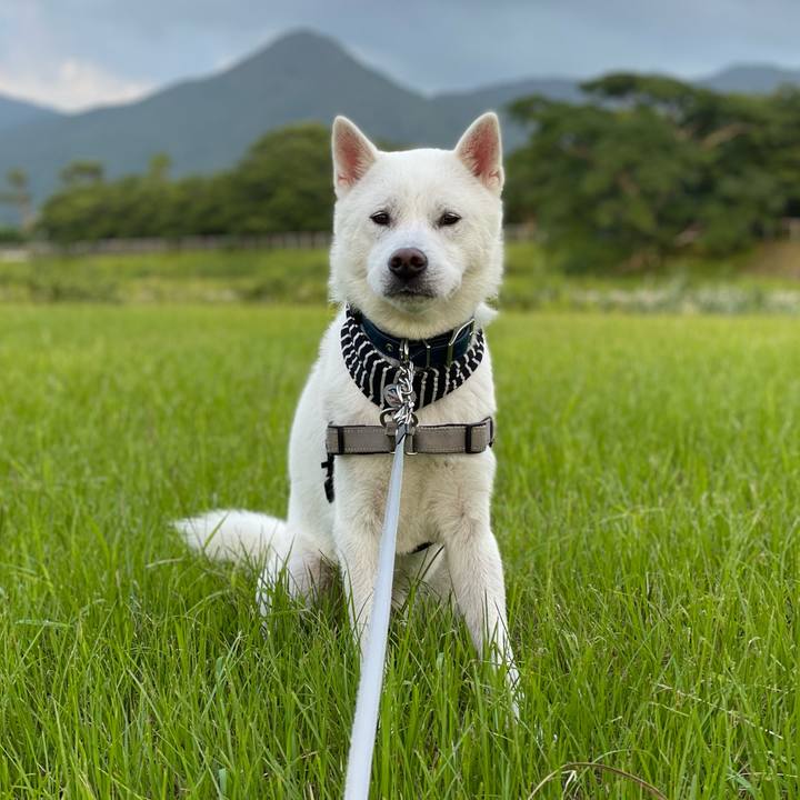 D193b3e6 b34c 4ffd b064 d561df38e935 1658448762456