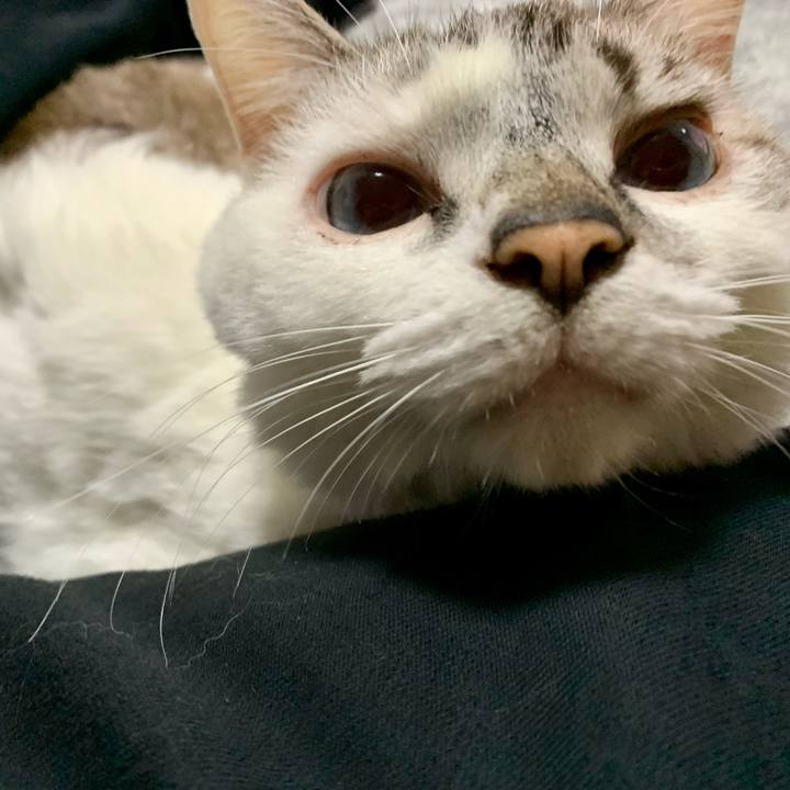 D193b6a0 b13b 45e9 b21c 32e2f3620d54 1635858042632