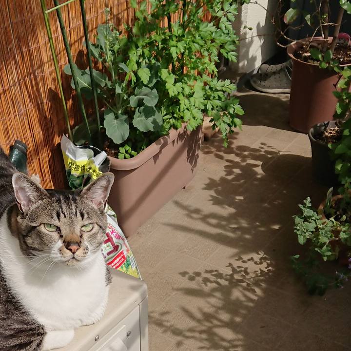 D193fb85 ab4a 4c29 a5b7 7d592210dae0 1557013989584