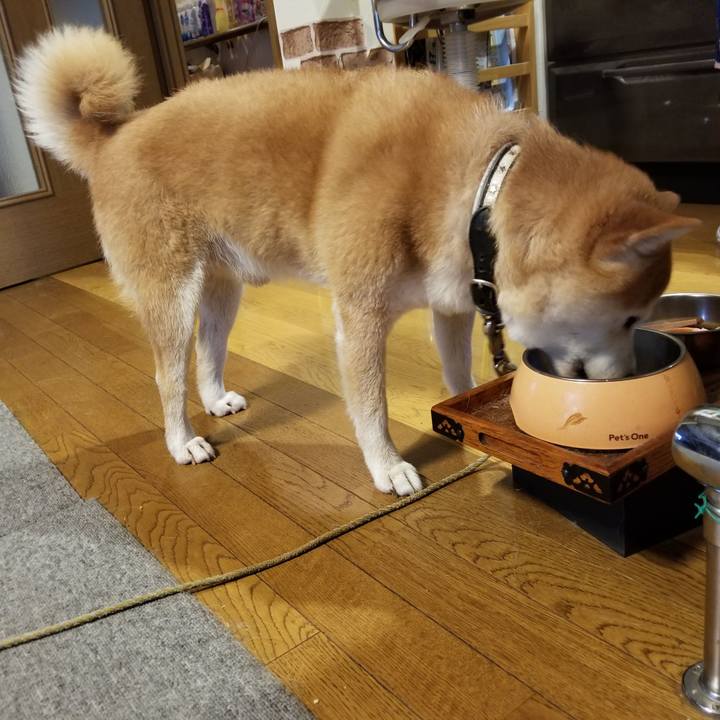 D1940d4d cade 407d a09a e7072b366c02 1628810981535