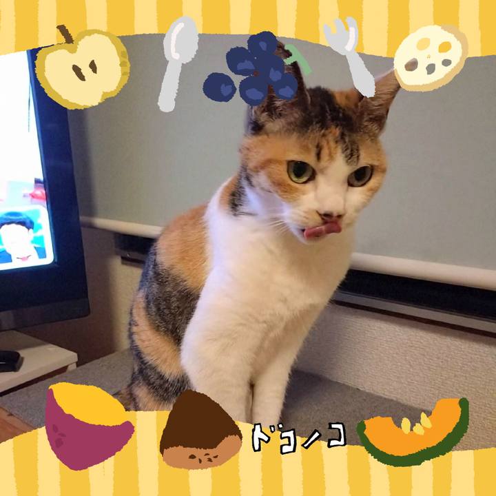 D1941ee7 83a8 424c b19d c5bf3b52336c 1727088638832