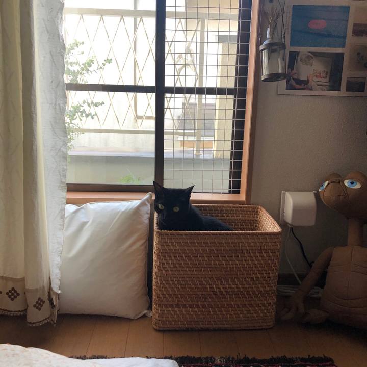 D19429e4 f7ef 495a 8cbf ae65ea93765e 1589970237124