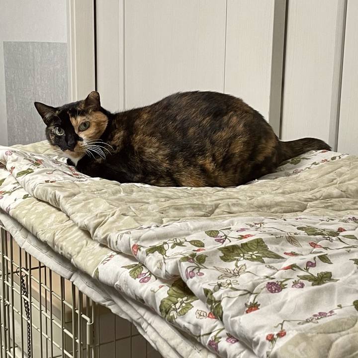 D1943d6d cbfa 4b83 a476 d6f17e344a34 1714058433356