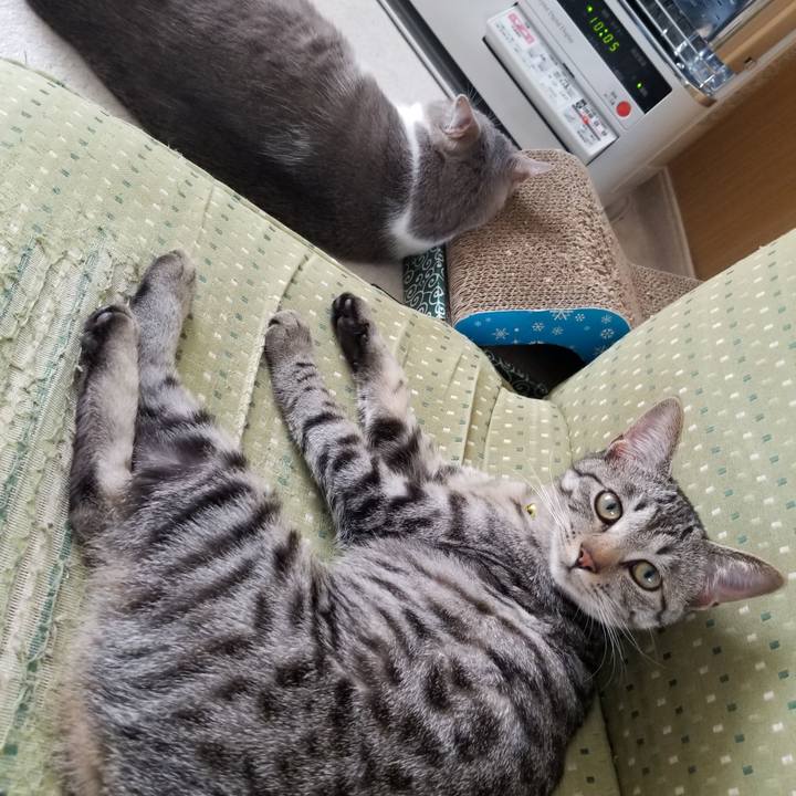 D19473b0 5102 41fc 843f 4e61a7fbda27 1677730323808