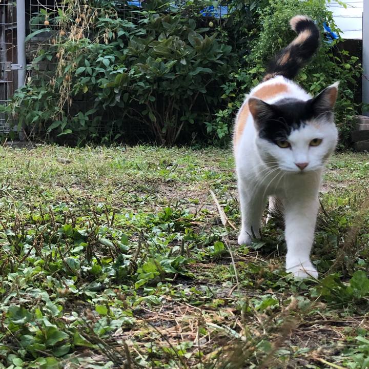 D19488af ec09 4066 adb7 b5b526c50c8d 1603405303150