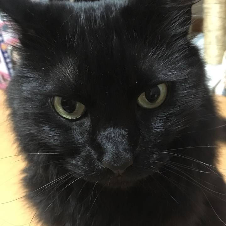 D1948b4b 50ed 4120 ac24 40404ed8b111 1529767737196