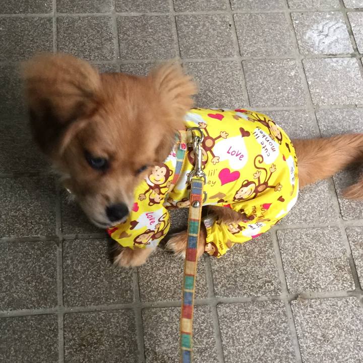 D1949044 6ad7 4e36 8d95 5393f34c7fb9 1536451772482