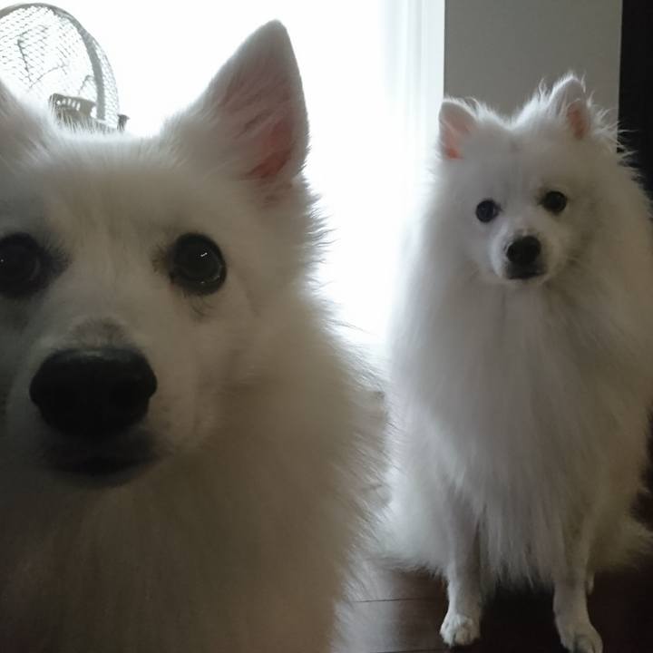 D194a8b3 aeb2 47fe a635 7974ba1dc491 1569294852023