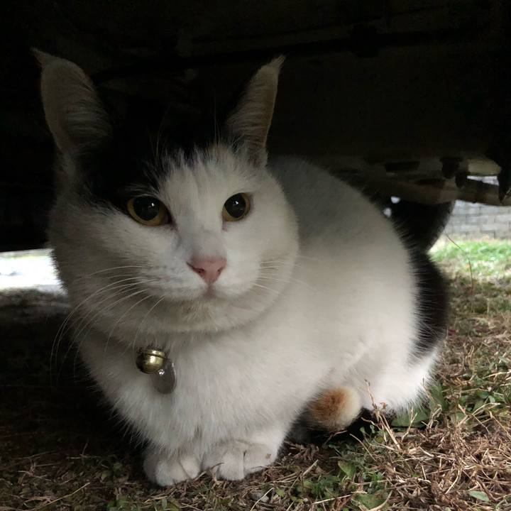 D194e29f 44d6 429b 92dc 58aa148170de 1609798322396