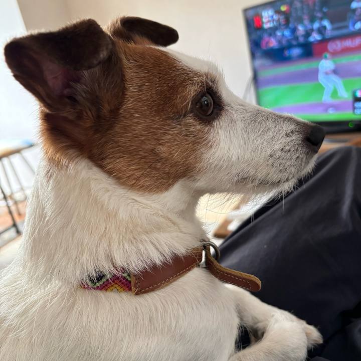 D195065e c3e7 4a62 a9ea a12a18b88297 1773279466531