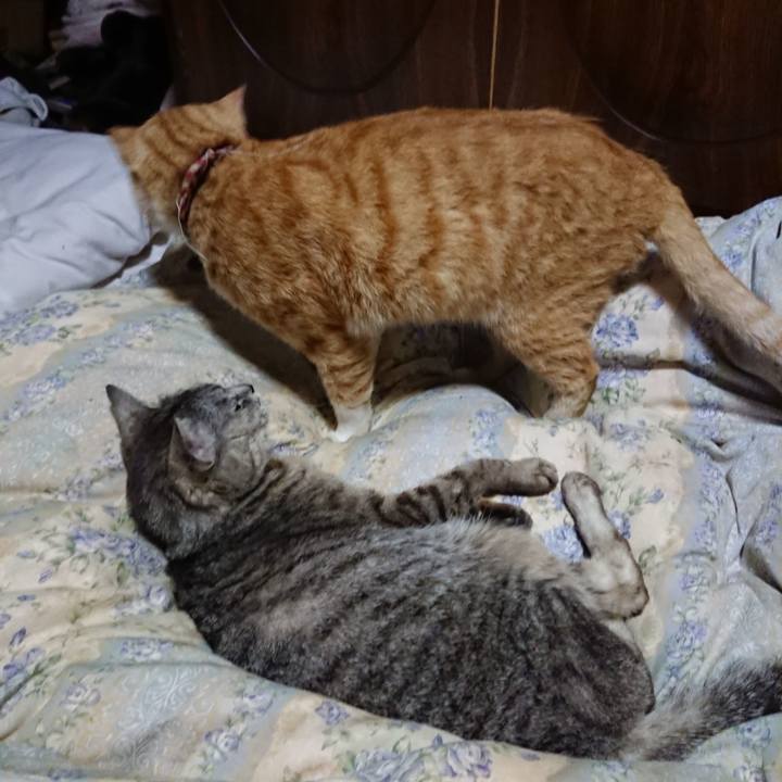 D1950886 2242 4a7b b0fa 6dcd40b48523 1563366661369