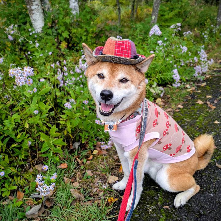 D1952179 a13d 4c78 aff2 46a485fe687d 1759720905565