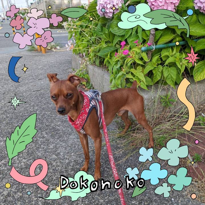 D19523fd ea19 408e bd5b 19bbdc7b7d2a 1718333067953