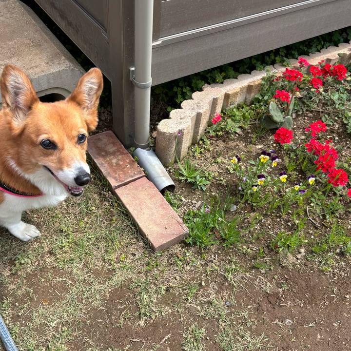 D1953f02 6273 4160 a4cd 83344a3163c7 1745635439753