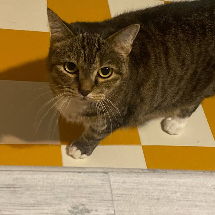 D1957d0d 1c30 4d29 8fbf 985fde97eced 1697283464504