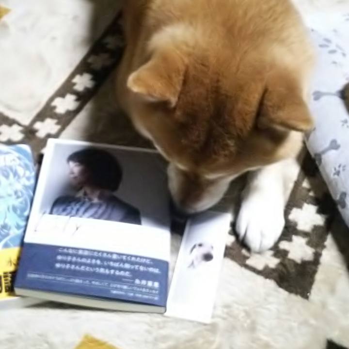 D195b13c 9211 4998 ae4a 9be536c53c0b 1518474926074