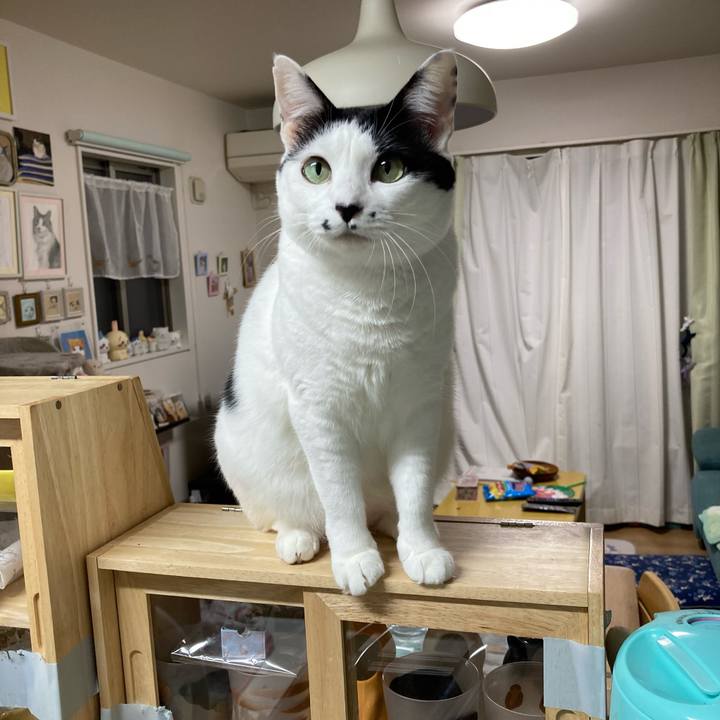 D195b970 9475 48ec 8820 7a2416333078 1760385743965