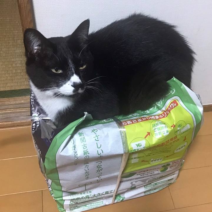 D195e5a1 401d 4b68 baa0 3933e4ea4d93 1666668765857