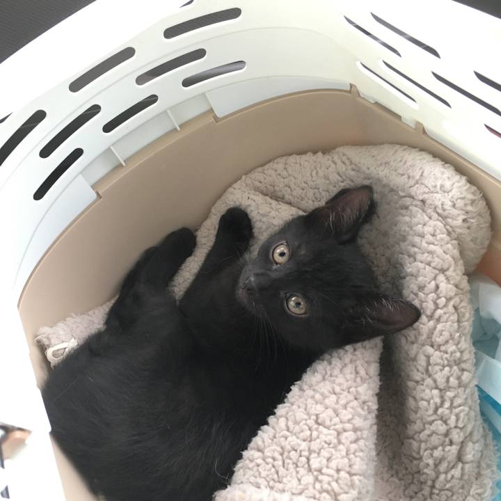 D1960412 49bc 42c6 81f8 fc51b9319f6d 1625557745160