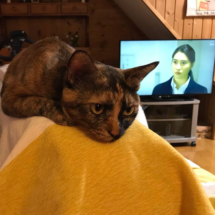 D1961eda ff41 4b9f b719 5df733ab99d9 1691839579290