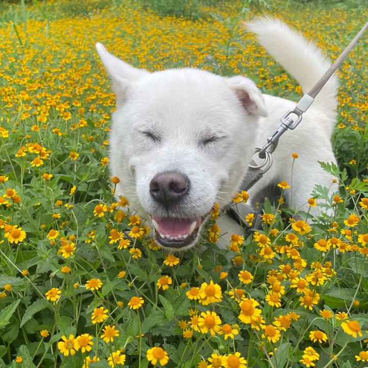 D196216b 082b 405a bc66 32b5c5909e2e 1760849439628