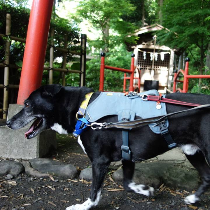 D196467b 9990 4c7e ab21 73161e451957 1748391776226