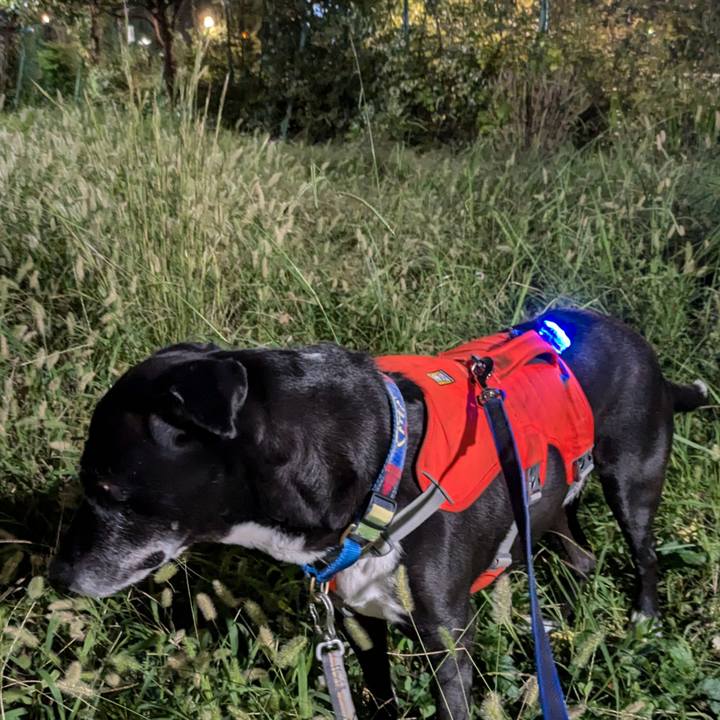 D19678b6 ab28 4256 adad 25189af3052b 1728556552275