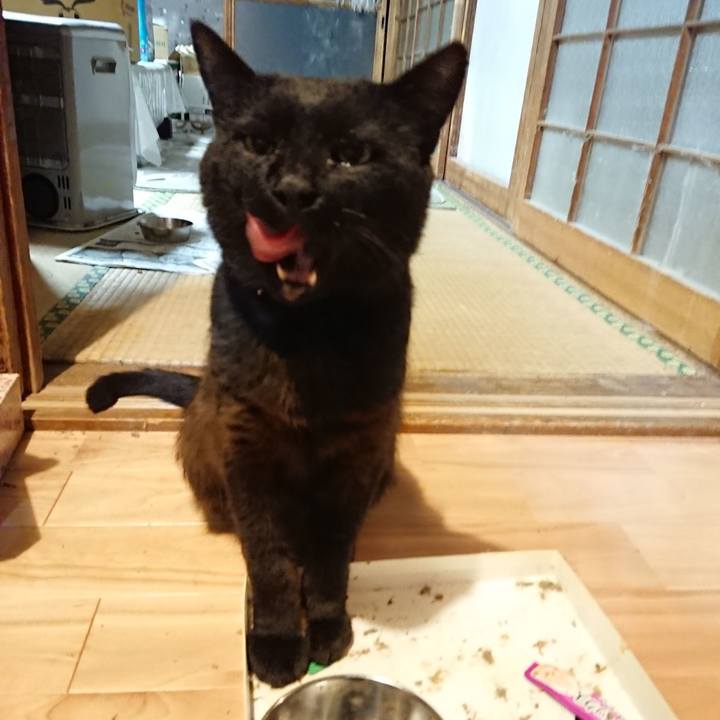 D1969db4 4170 47b2 89ba 67c81af1f138 1625574417584