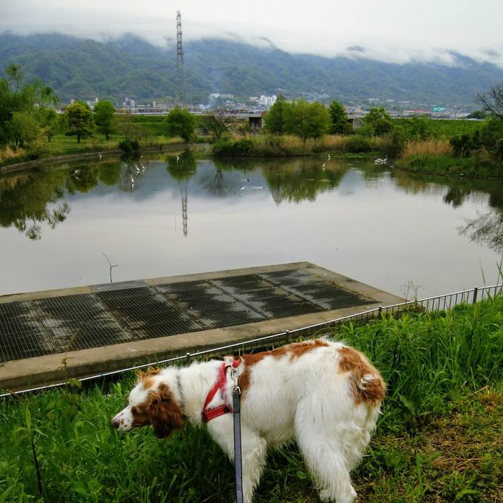 D196bcbc 1a62 4424 af32 4e4a23876af4 1556254242559