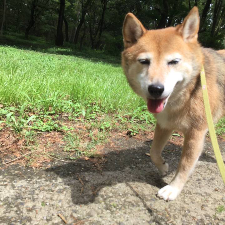 D196d271 9c00 463f 95e9 2a8e3225bb98 1629257695780