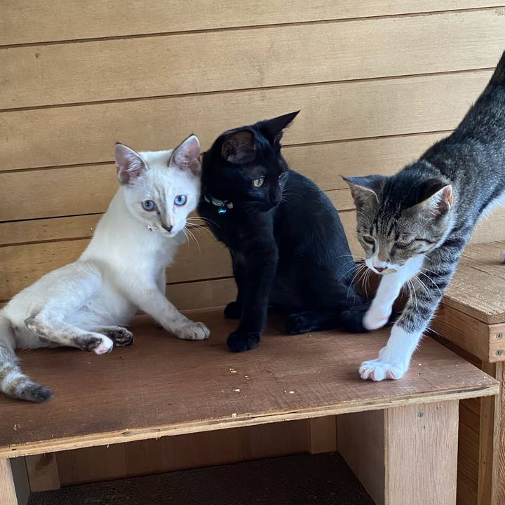 D196debf d282 4b64 ab46 530df863e5dd 1630028959658