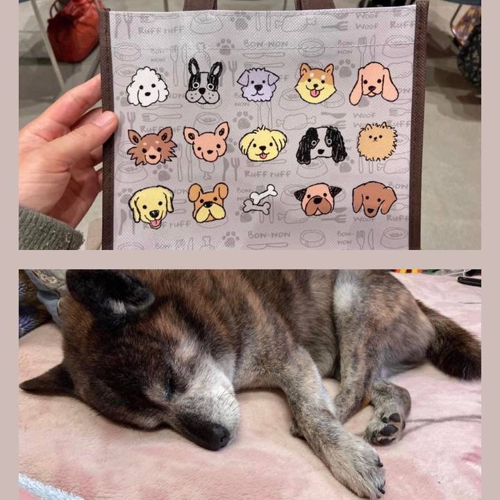 D196ea33 228d 4dd8 bfdc 9e145d93f483 1700987951183