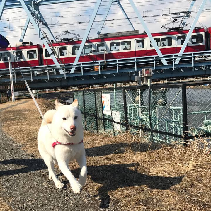 D196f5a4 a930 4c57 b4d0 1f1bf54e468c 1517715126235