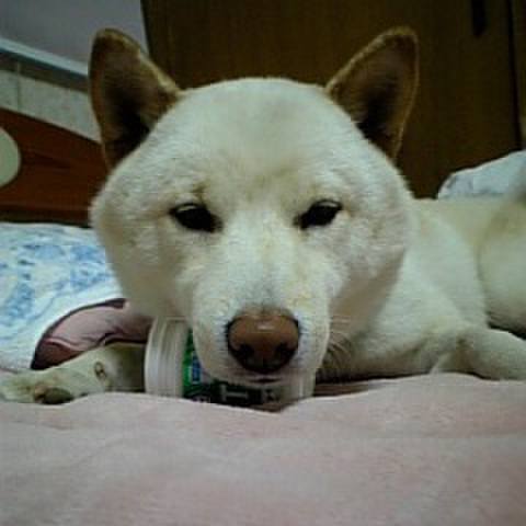 D19727ed 9601 40d0 9254 e3f1754681ae 1655776596437