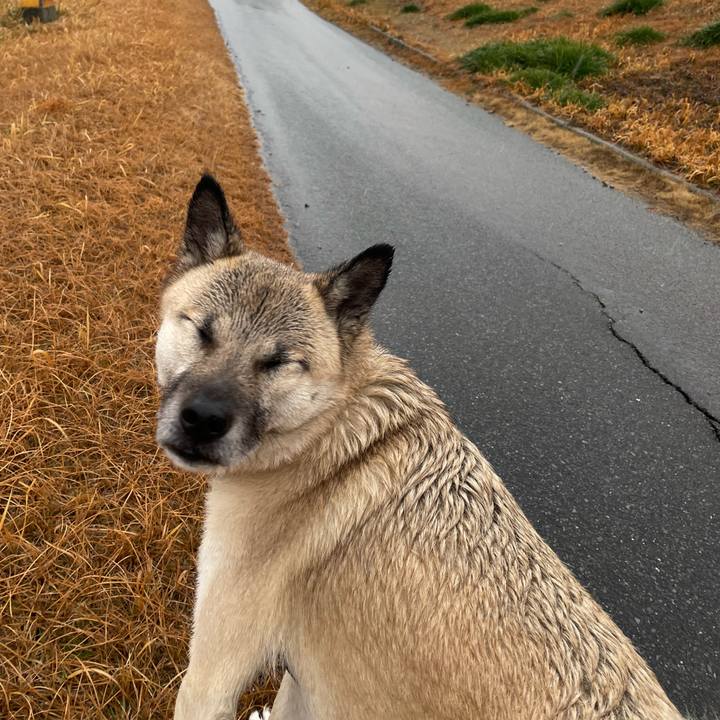 D1976c8e f90d 4d18 b96f 41d7cd407b2d 1644739401017