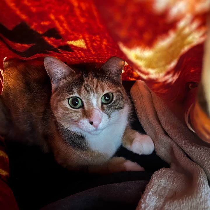 D1978232 65ba 492c 92d5 20051f5513eb 1711432859178