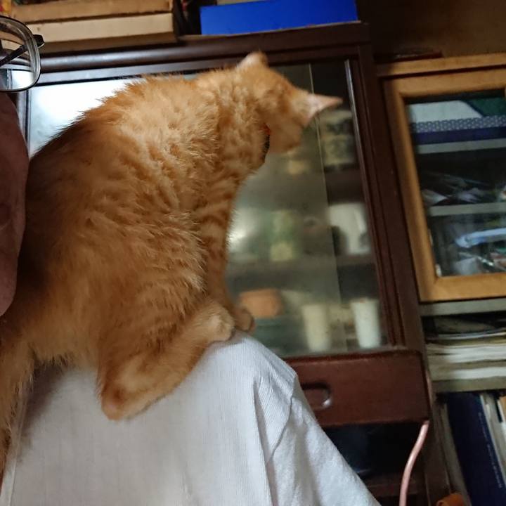 D1979407 557b 4e27 a4b2 1b0f2db9bf3d 1629459624225