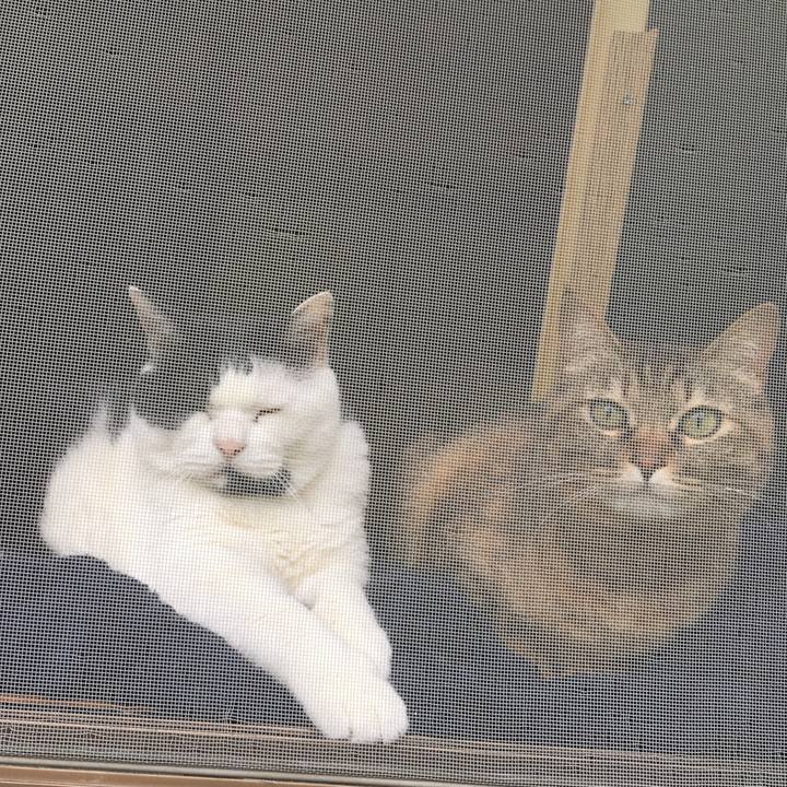 D197b37d ea68 4572 9f08 f0e54679f1c2 1528616842144